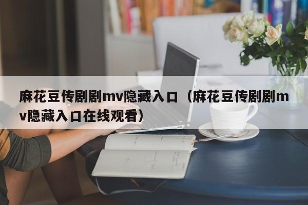 麻花豆传剧剧mv隐藏入口（麻花豆传剧剧mv隐藏入口在线观看）