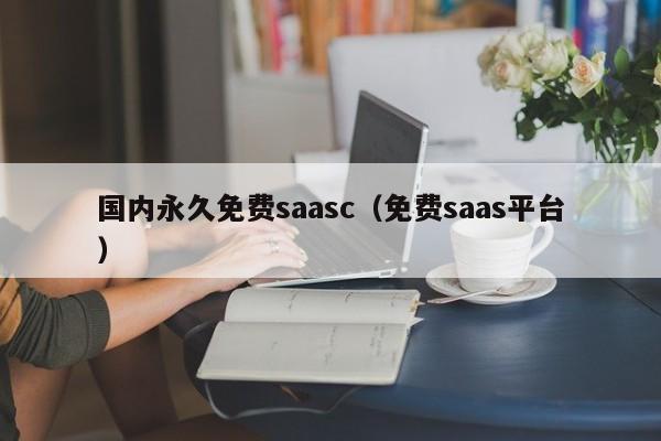 国内永久免费saasc（免费saas平台）