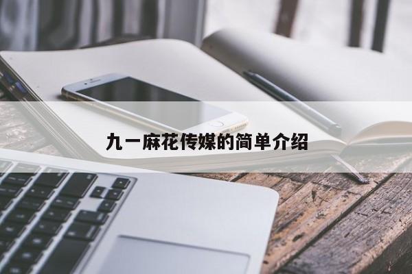 九一麻花传媒的简单介绍