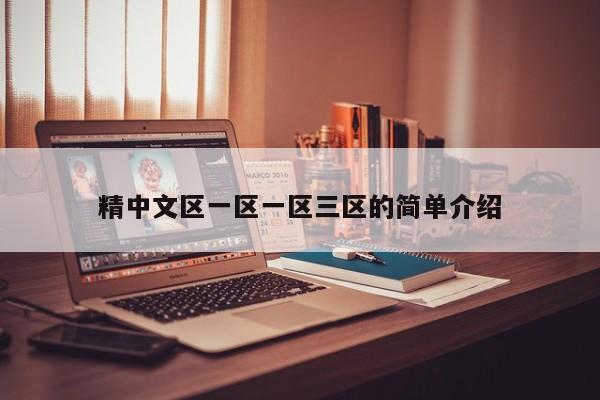 精中文区一区一区三区的简单介绍