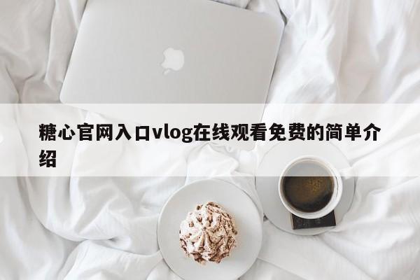 糖心官网入口vlog在线观看免费的简单介绍